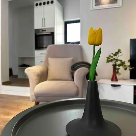 Location 3-floor With 6 Bedrooms Villa Tiran